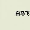 白马飞飞（关于白马飞飞介绍）
