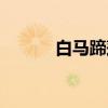 白马蹄莲（关于白马蹄莲介绍）