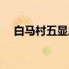 白马村五显庙（关于白马村五显庙介绍）