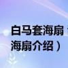 白马套海扇 刮具海扇（关于白马套海扇 刮具海扇介绍）