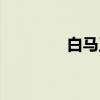 白马王（关于白马王介绍）