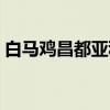 白马鸡昌都亚种（关于白马鸡昌都亚种介绍）
