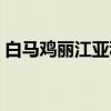 白马鸡丽江亚种（关于白马鸡丽江亚种介绍）