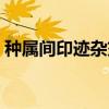 种属间印迹杂交（关于种属间印迹杂交介绍）
