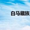 白马藏族乡（关于白马藏族乡介绍）