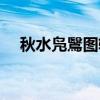 秋水凫鷖图轴（关于秋水凫鷖图轴介绍）