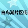 白鸟湖片区街道（关于白鸟湖片区街道介绍）