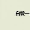 白髪一雄（关于白髪一雄介绍）