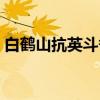 白鹤山抗英斗争（关于白鹤山抗英斗争介绍）