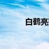 白鹤亮翅（关于白鹤亮翅介绍）