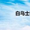 白鸟士郎（关于白鸟士郎介绍）