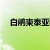 白鹇柬泰亚种（关于白鹇柬泰亚种介绍）