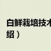 白鲜栽培技术规程（关于白鲜栽培技术规程介绍）