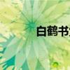 白鹤书堂（关于白鹤书堂介绍）