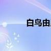 白鸟由里（关于白鸟由里介绍）
