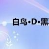 白鸟·D·黑羽（关于白鸟·D·黑羽介绍）