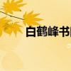 白鹤峰书院（关于白鹤峰书院介绍）