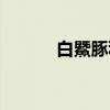 白鱀豚科（关于白鱀豚科介绍）