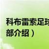 科布雷索足球俱乐部（关于科布雷索足球俱乐部介绍）