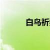 白鸟祈梨(关于白鸟祈梨介绍) 白鸟祈梨(关于白鸟祈梨介绍)