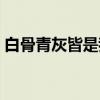 白骨青灰皆是我（关于白骨青灰皆是我介绍）