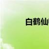 白鹤仙师（关于白鹤仙师介绍）