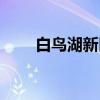 白鸟湖新区（关于白鸟湖新区介绍）