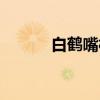 白鹤嘴村（关于白鹤嘴村介绍）