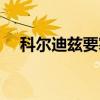科尔迪兹要塞（关于科尔迪兹要塞介绍）