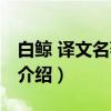 白鲸 译文名著典藏（关于白鲸 译文名著典藏介绍）
