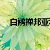 白鹇掸邦亚种（关于白鹇掸邦亚种介绍）