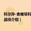 科尔孙-舍甫琴科夫斯基战役（关于科尔孙-舍甫琴科夫斯基战役介绍）