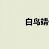 白鸟靖代(关于白鸟靖代介绍) 白鸟靖代(关于白鸟靖代介绍)