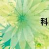 科岗（关于科岗介绍）