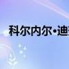 科尔内尔·迪努（关于科尔内尔·迪努介绍）