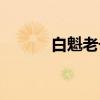 白魁老号（关于白魁老号介绍）