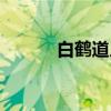 白鹤道人（关于白鹤道人介绍）