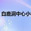 白鹿洞中心小学（关于白鹿洞中心小学介绍）