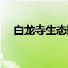 白龙寺生态园（关于白龙寺生态园介绍）