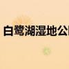 白鹭湖湿地公园(关于白鹭湖湿地公园介绍) 白鹭湖湿地公园(关于白鹭湖湿地公园介绍)