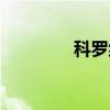 科罗纳（关于科罗纳介绍）