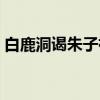 白鹿洞谒朱子祠（关于白鹿洞谒朱子祠介绍）