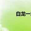 白龙一族（关于白龙一族介绍）