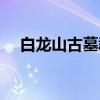 白龙山古墓群（关于白龙山古墓群介绍）