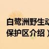 白鹭洲野生动物保护区（关于白鹭洲野生动物保护区介绍）