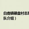 白鹿镇碾盘村志愿服务大队（关于白鹿镇碾盘村志愿服务大队介绍）