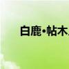 白鹿·帖木儿（关于白鹿·帖木儿介绍）