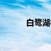 白鹭湖村（关于白鹭湖村介绍）