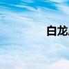 白龙庙（关于白龙庙介绍）