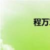 程万军（关于程万军介绍）